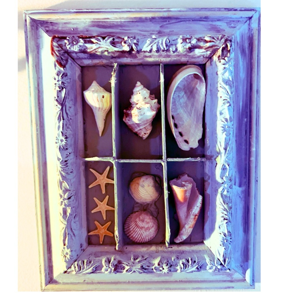 Decorative Seashell Shadow Box